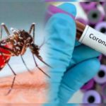 dengue-coronavirus