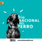 2-de-junio-dC3ADa-nacional-del-perro