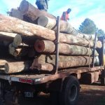 ControlForestal-Ecologia-Ruta-Costera-3
