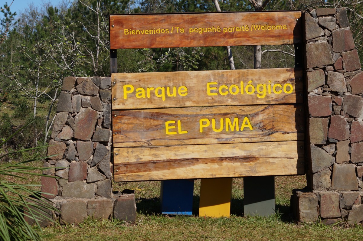 Goneryl calcio tirano Conocé la historia del amistoso Tucán que no puede volar y ahora vive en la  reserva ecológica “El Puma” - Radio Libertad