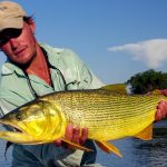 pesca-dorado