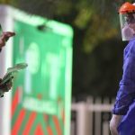 WhatsApp-Image-2020-07-03-at-10.19.21