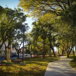 WhatsApp-Image-2020-07-29-at-12.20.02-PM