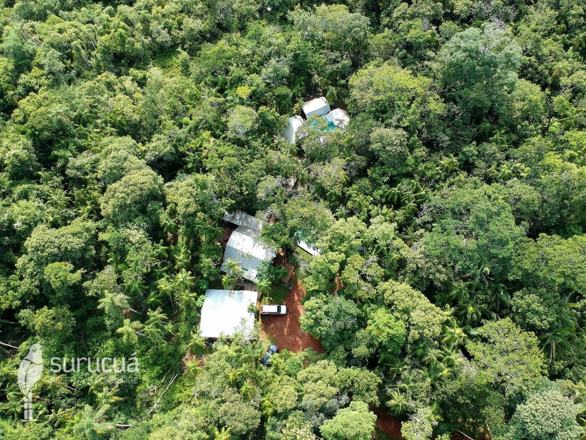 Un viaje a la Selva Misionera