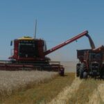 20191101180005_madariagajpg