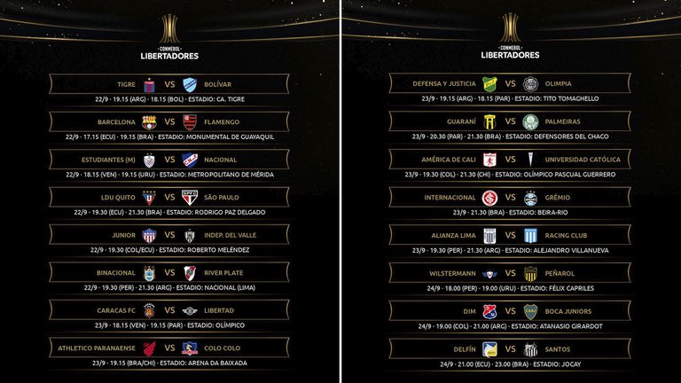 Copa Libertadores