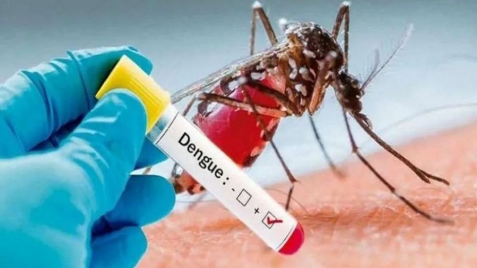 dengue