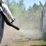 fumigaciC3B3n-763x405-1