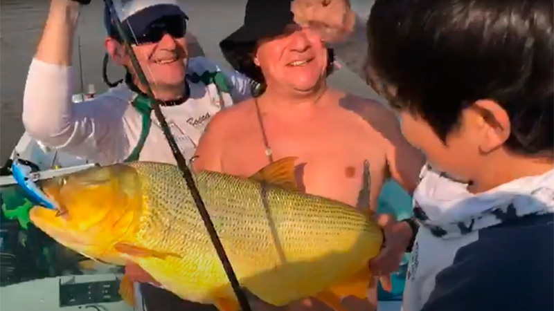 dorado