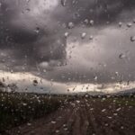 lluvias-730x511-1