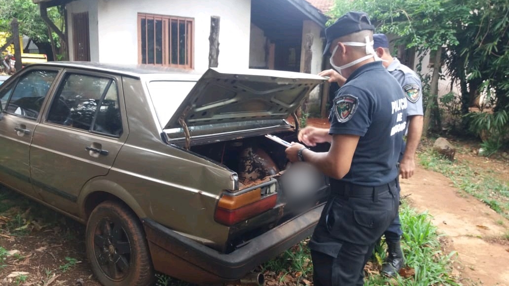 robarle un chancho a un colono