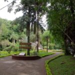 bioparque-1