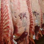 las-negociaciones-quienes-exportan-carne-y-el-gobierno-dieron-un-paso-adelante-las-ultimas-horas