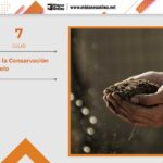 7-de-Julio-dC3ADa-de-la-consevaciC3B3n-del-suelo
