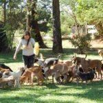 714d71ae88e73598e9d770be098f6a30b5d71342-61dm1dgho0u0