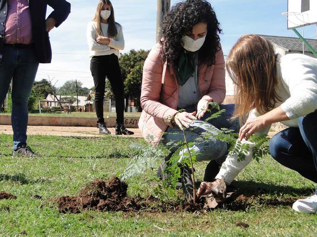 realizaron jornadas de plantación