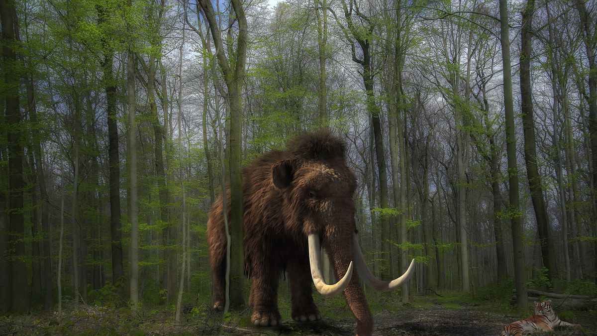 resucitarán a una especie extinta