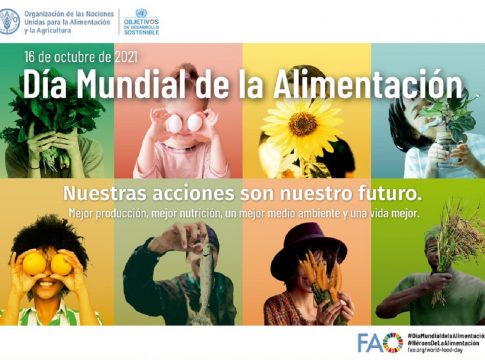 Día mundial de la alimentación