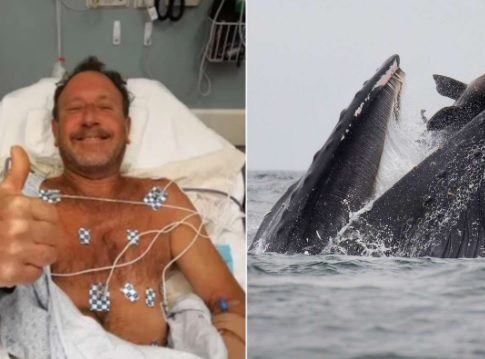 Atrapado en una ballena: la aterradora historia de un pescador que se salvó de milagro en Estados Unidos