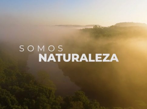 Día Mundial de la Protección de la Naturaleza
