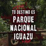 tudestinoes1