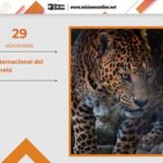 29-de-noviembre-dia-internacional-del-yaguarete-485x360
