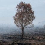 cop26-calentamiento-485x360