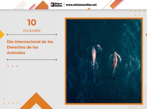Día Internacional de los Derechos de los Animales