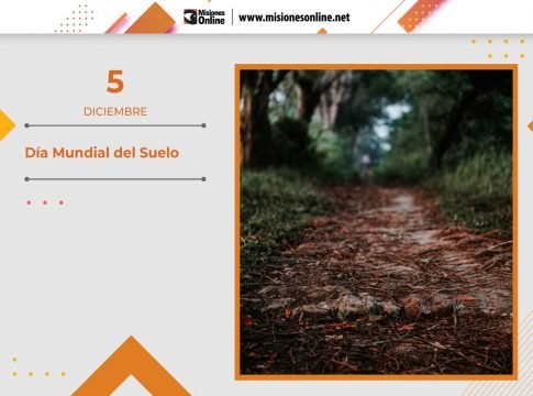 Día Mundial del Suelo