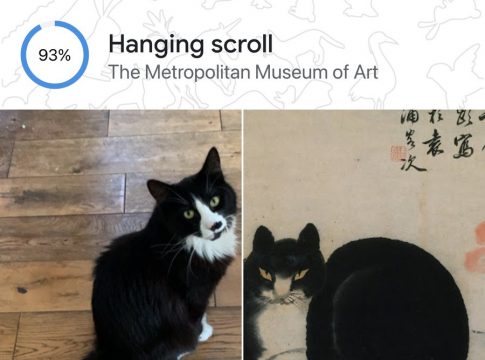 Google lanza Retratos de mascotas