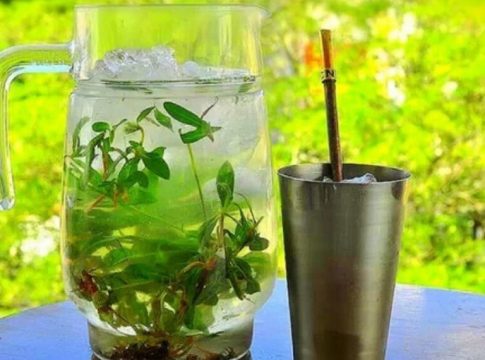 cuál es el tereré más rico