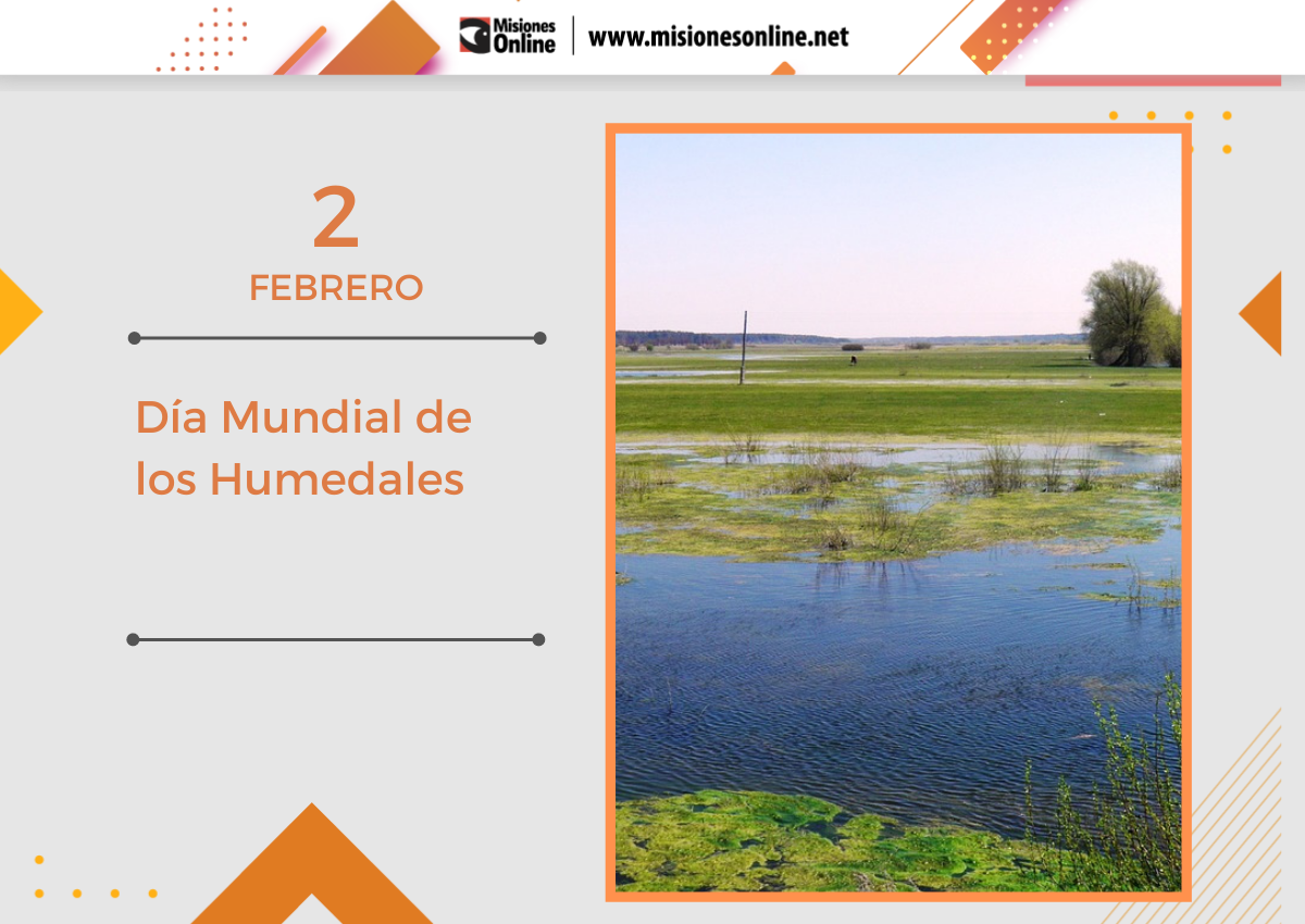 Día Mundial de los Humedales