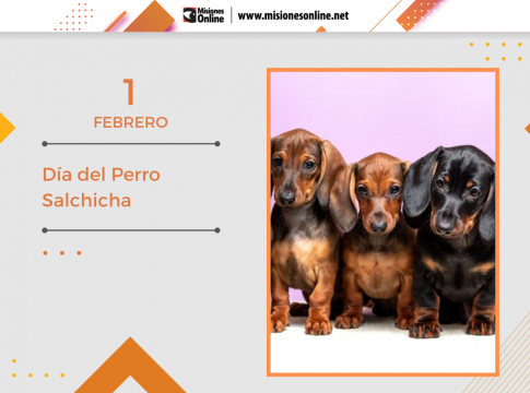 Día del Perro Salchicha