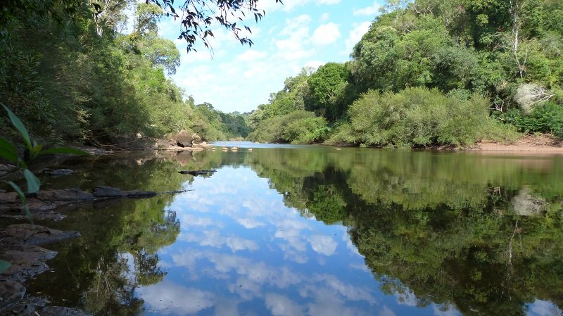 Día Mundial de la Vida Silvestre