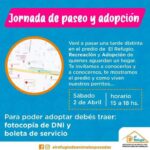 Jornada-de-paseo-y-adopcion