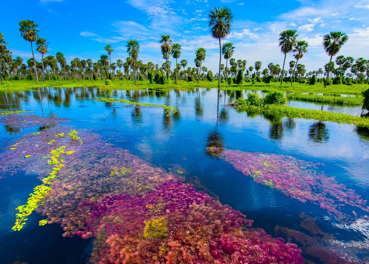 7 Maravillas Naturales Argentinas