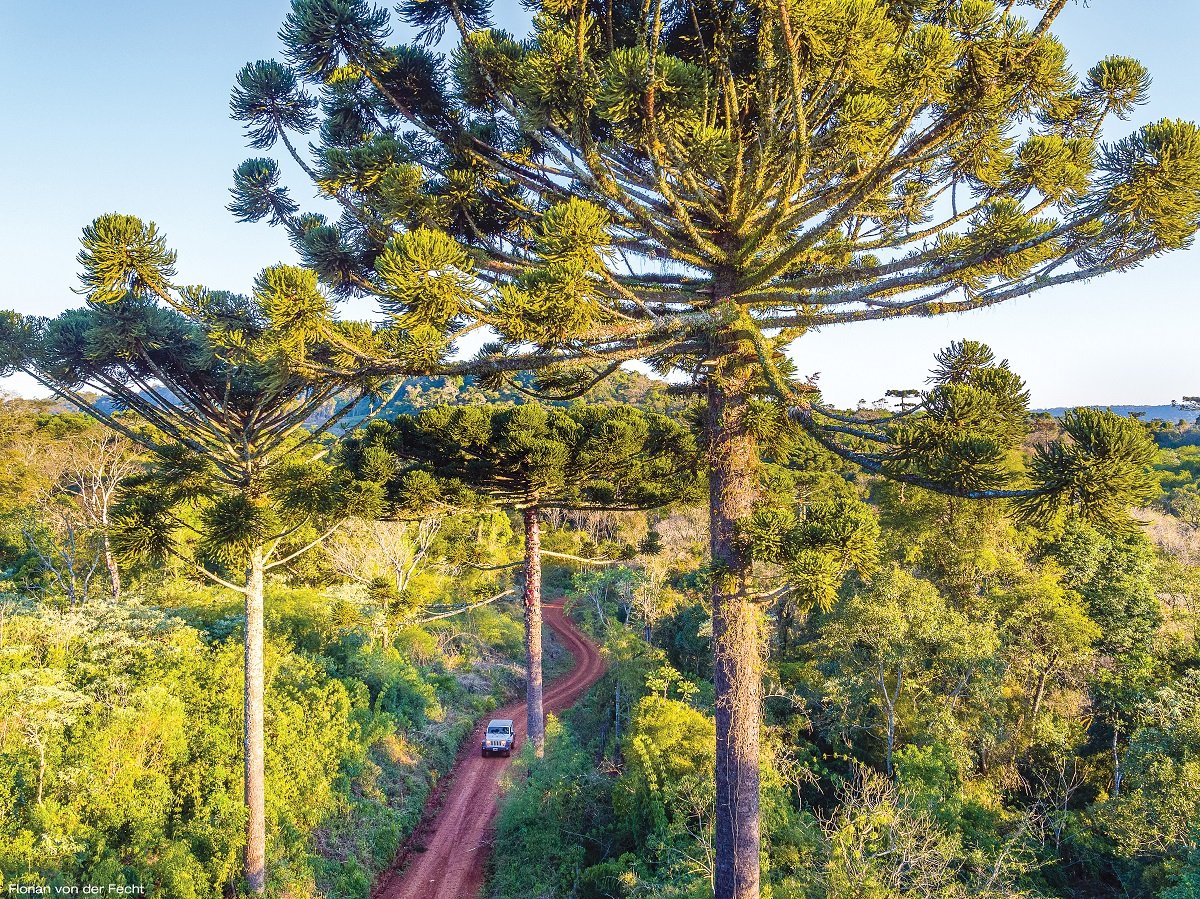 7 Maravillas Naturales Argentinas