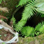 Taxista-desaparecida-en-Posadas-2-1