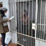 censo-2022-6-1-485x360