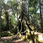 mONTE-SEGUIN-CUATRO