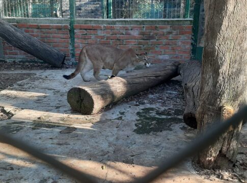 Reserva El Puma