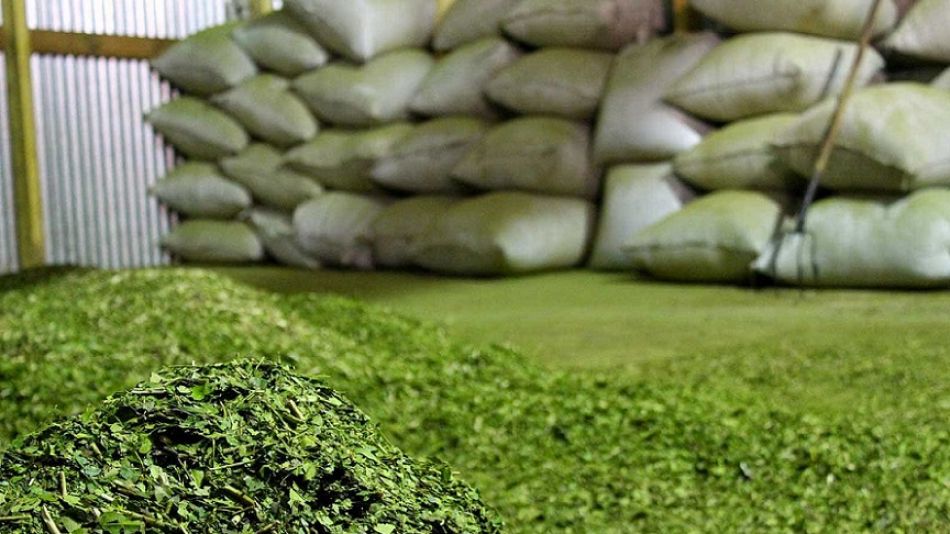Fondo Compensador para Productores