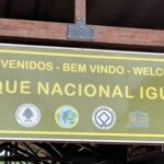 Captura-de-pantalla-2022-06-23-194437