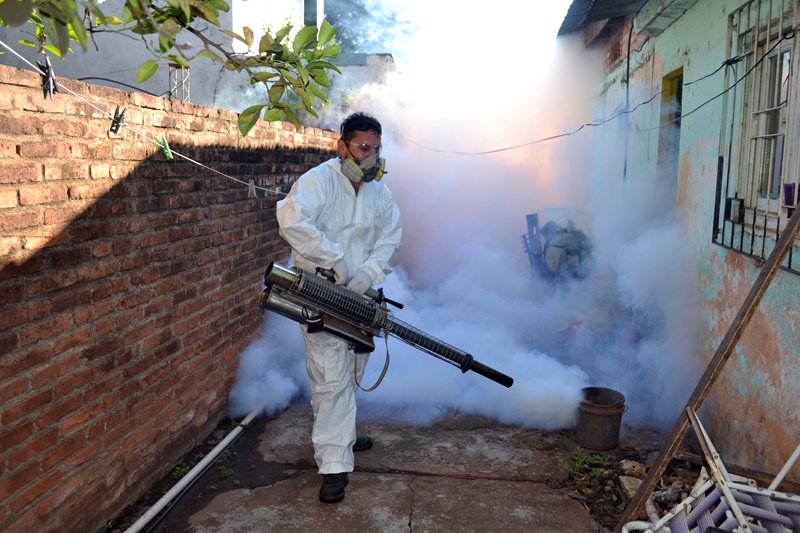 en Misiones no se confirmaron casos de dengue
