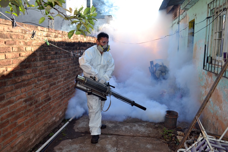 Operativos contra el dengue en Posadas