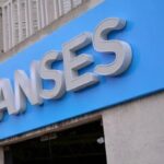 IFE-4-de-ANSES-1