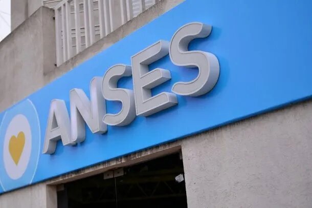 IFE 4 de ANSES