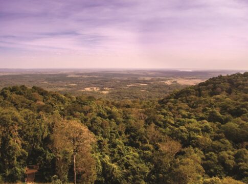 medio ambiente
