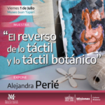 alejandra-perie-banner-viral