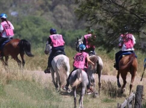 encuentro de Polo en Posadas